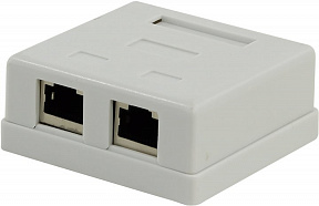 5bites (LY-SB11) Розетка  внешняя  двойная (экран.)  RJ-45кат.5e