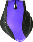 SmartBuy Wireless Optical Mouse (SBM-613AG-PK) (RTL) USB  6btn+Roll, беспроводная