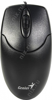 Genius Optical Mouse NetScroll 120 V2 (Black) (RTL) USB  3btn+Roll (31010235100)